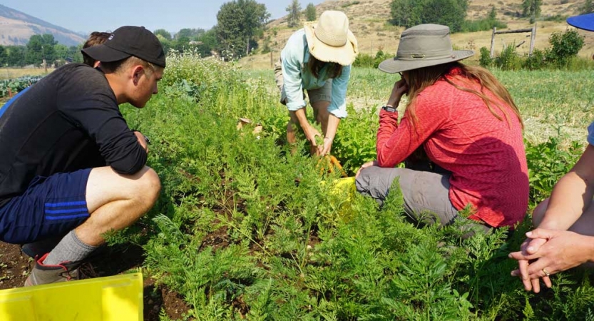 service learning for adults
